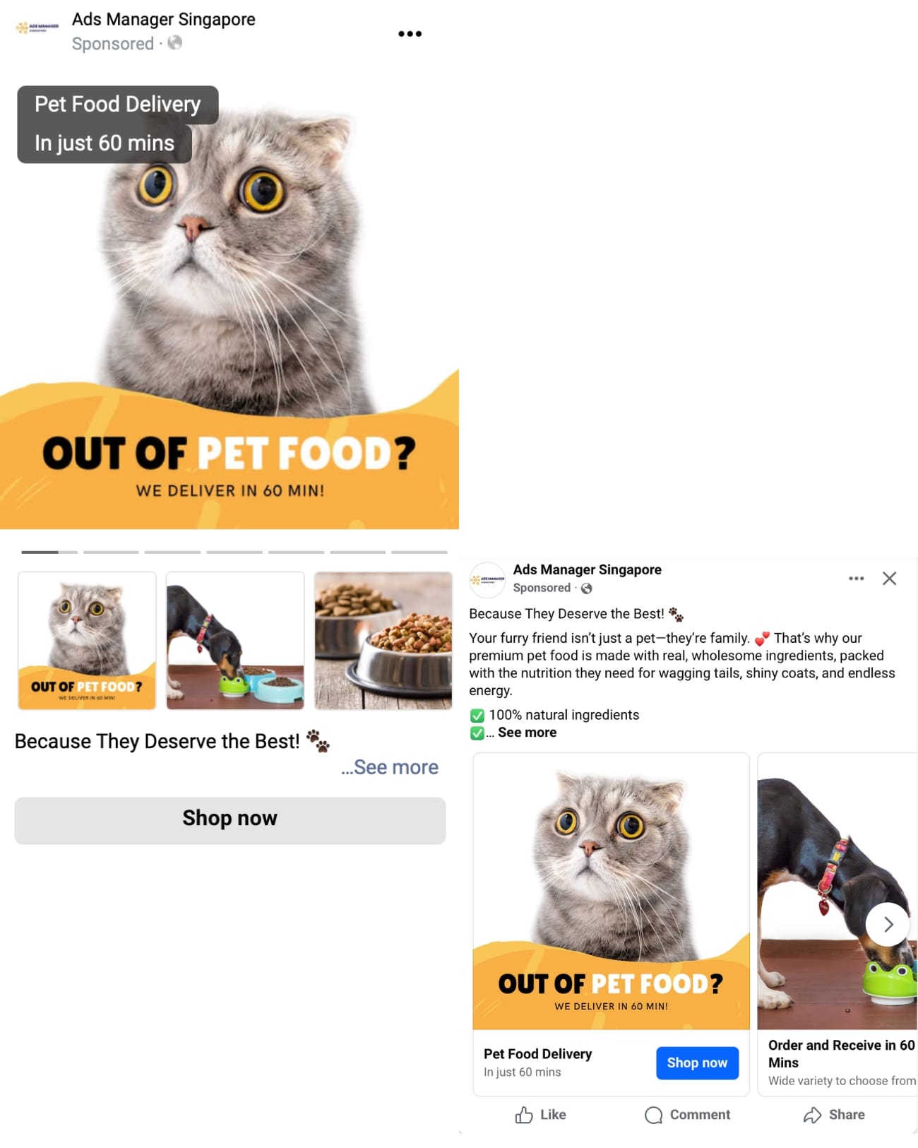 Sales Conversion Facebook Meta Ads Agency